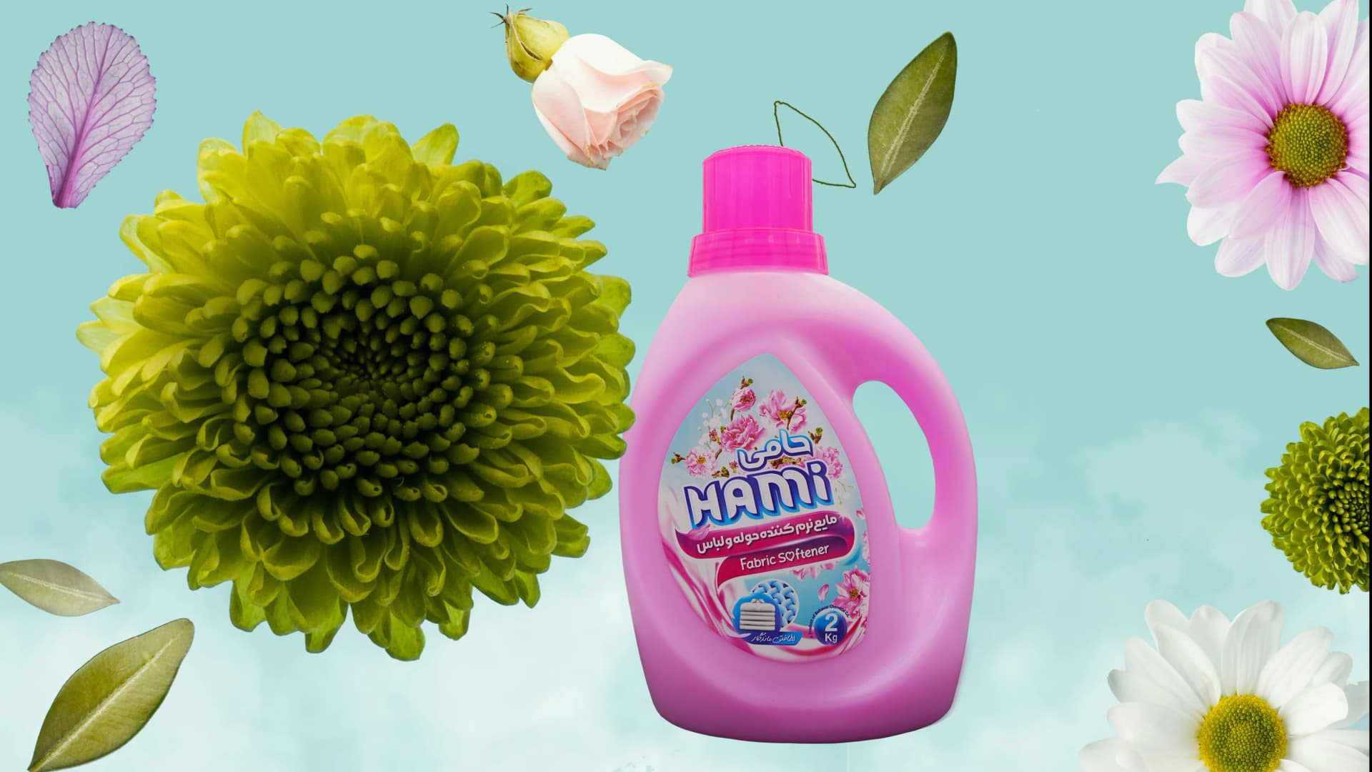 تصویر کاور شرکت حامی