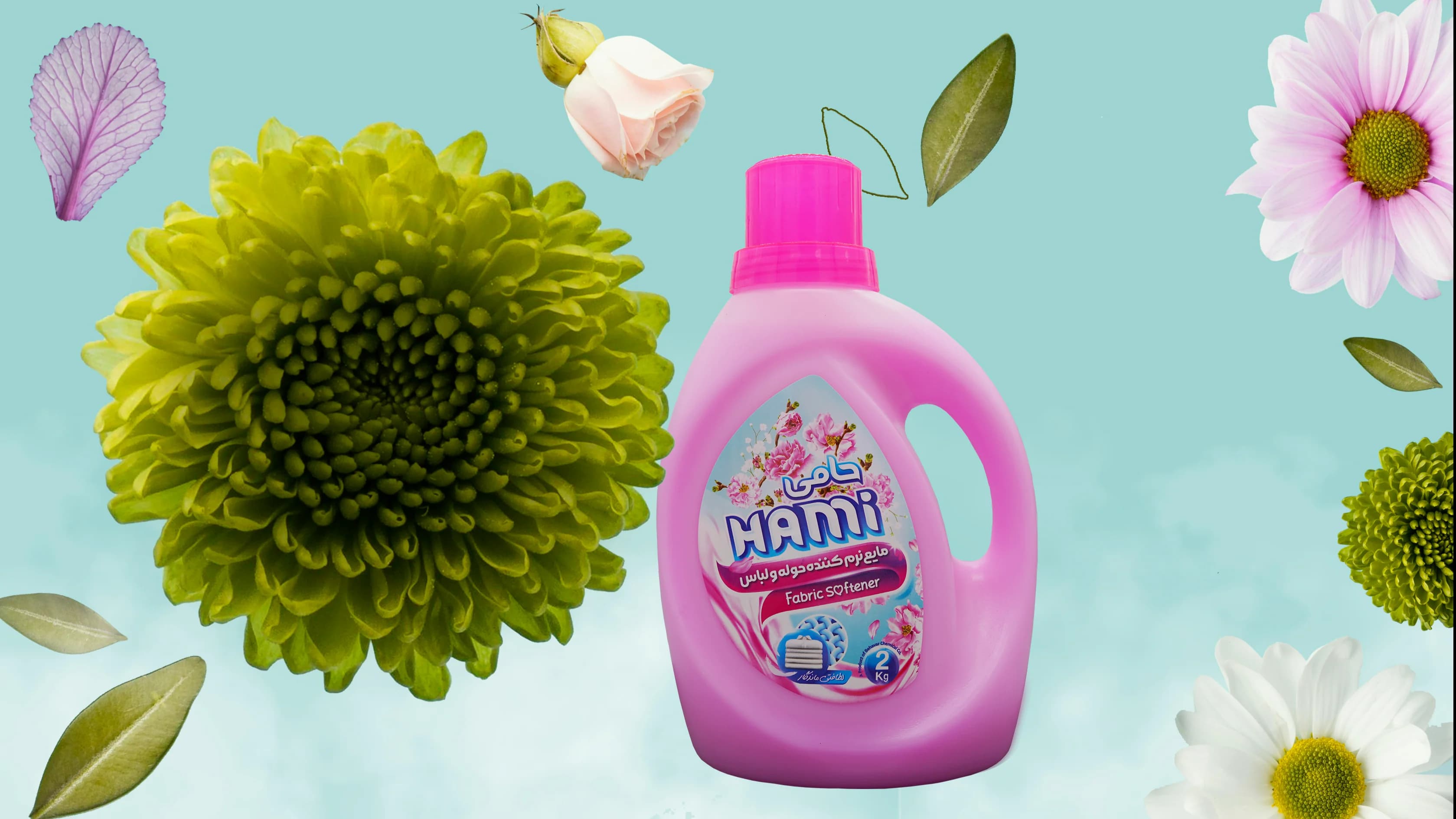 تصویر کاور شرکت حامی