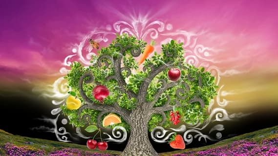 تصویر کاور شرکت صنایع غذایی نگین شانا