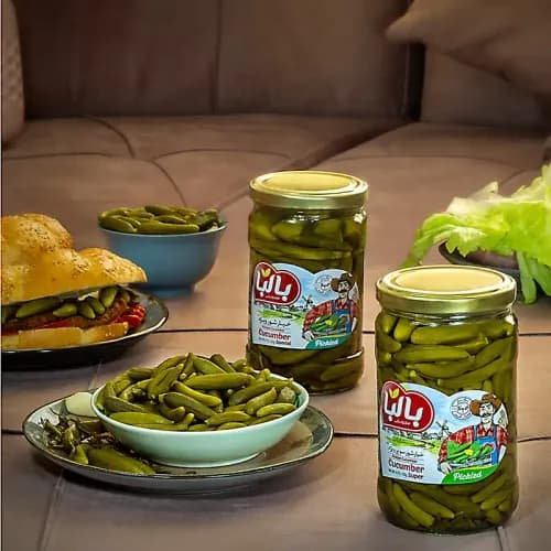 خیارشور ویژه 670 گرمی