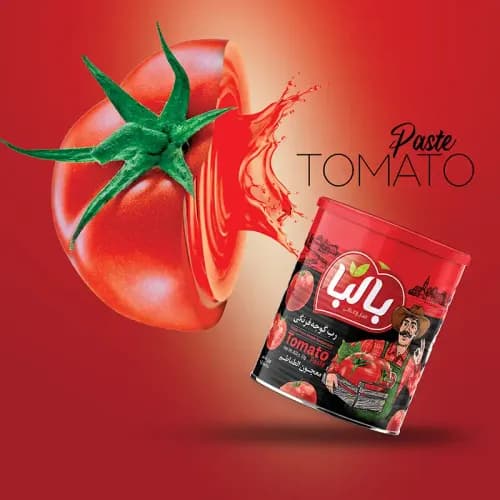رب گوجه فرنگی 800 گرمی