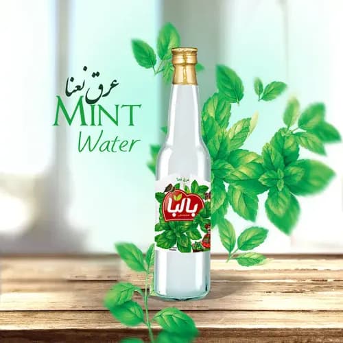 عرق نعنا ممتاز 410 میلی لیتر