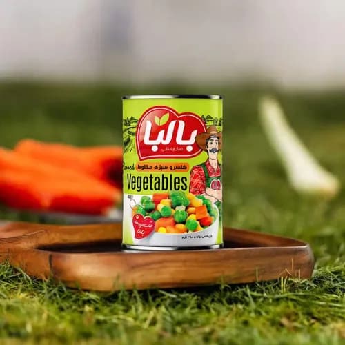 کنسرو مخلوط سبزیجات 380 گرمی