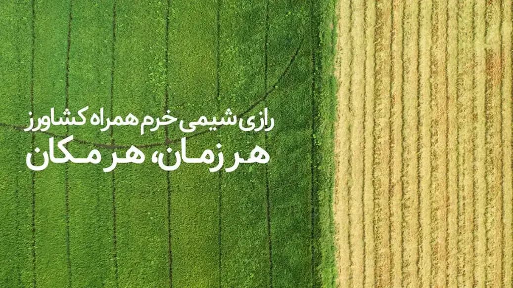 تصویر کاور شرکت رازی شیمی خرم