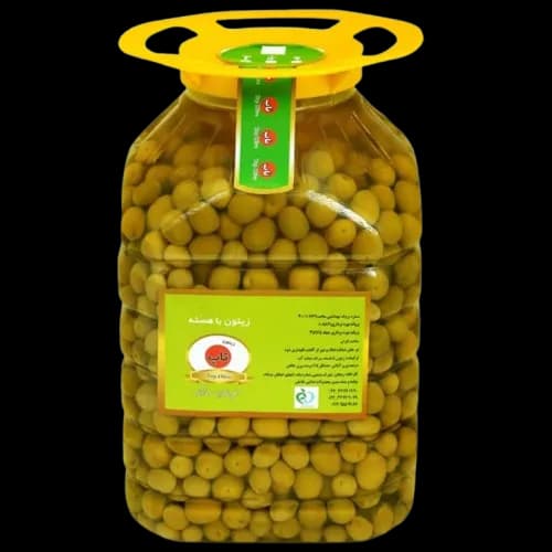 زیتون سبز باهسته ممتاز پِت 6kg - دلفین