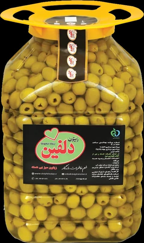 زیتون سبز بی هسته ویژه پت 5kg - دلفین